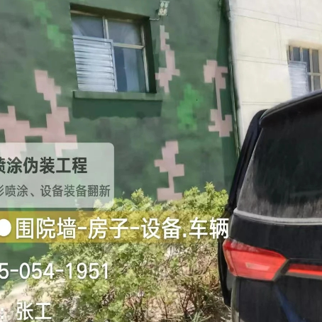 福建数码迷彩漆施工